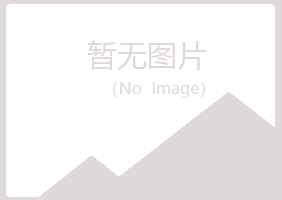 岳塘区入眠能源有限公司